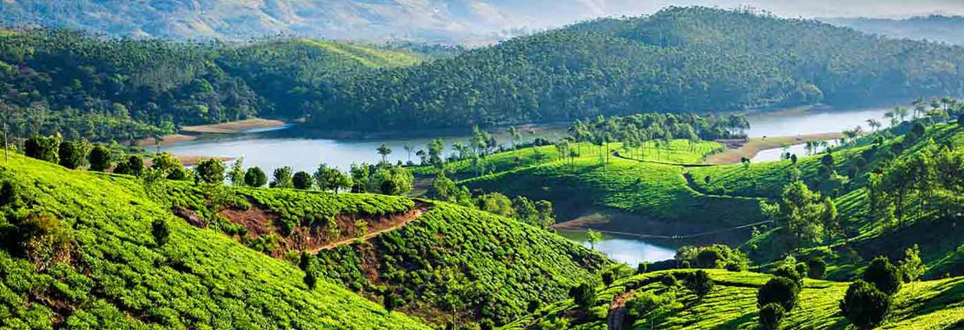 Munnar Kerala Inde du Sud