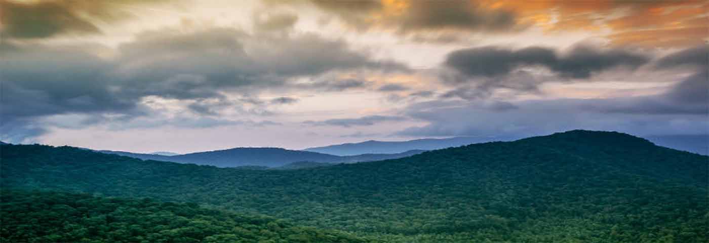 Wayanad Kerala Inde du Sud